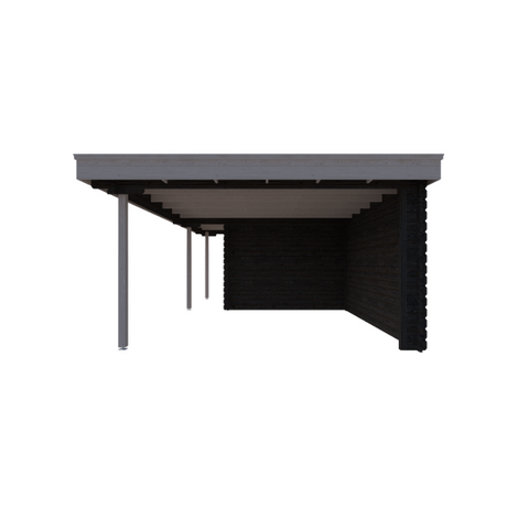 Image of TUINHUIS BRUSSEL: ZWART + WIT - PLAT DAK