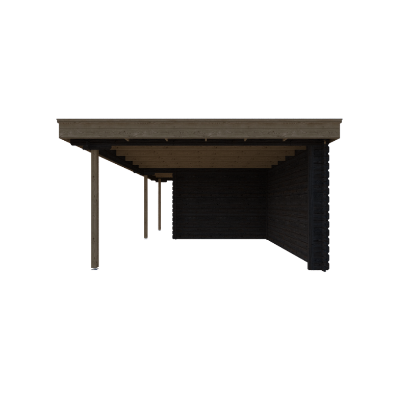 TUINHUIS BRUSSEL: ZWART + EIKEN - PLAT DAK