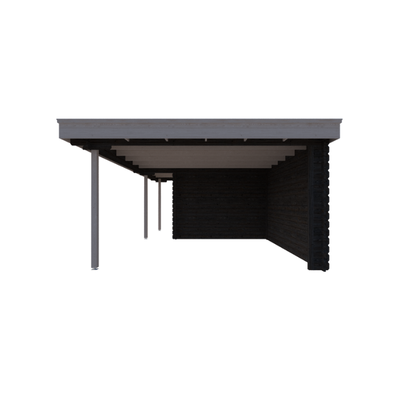 TUINHUIS BRUSSEL: ZWART + WIT - PLAT DAK